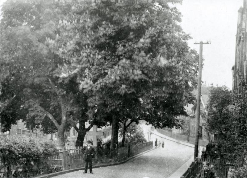 Krehlastraße ca. 1900-1916